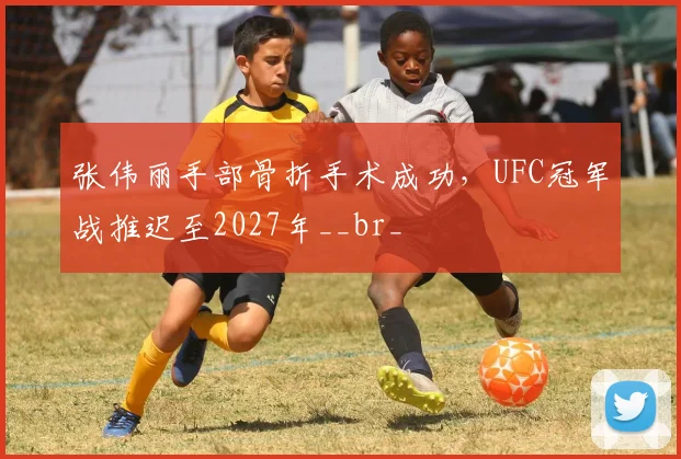 张伟丽手部骨折手术成功，UFC冠军战推迟至2027年__br_